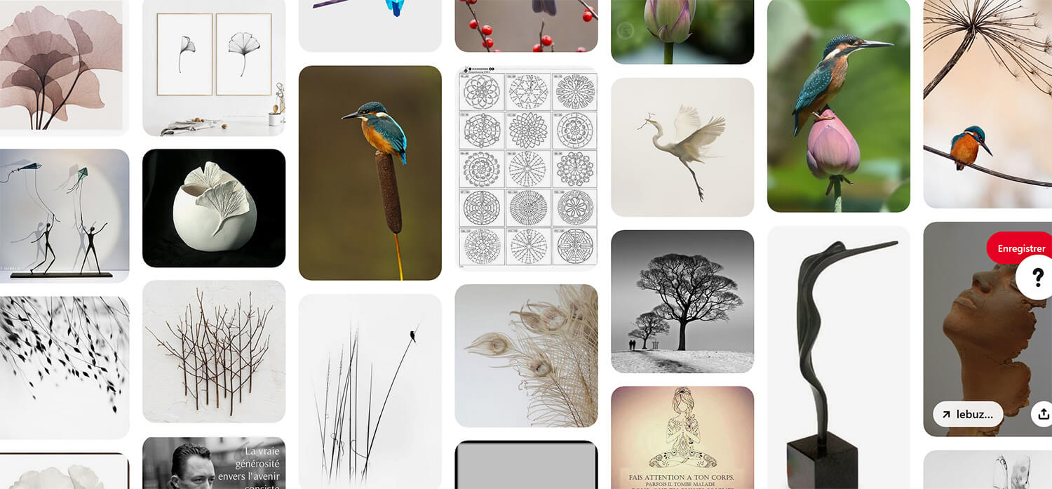 tableau pinterest avec des images photos